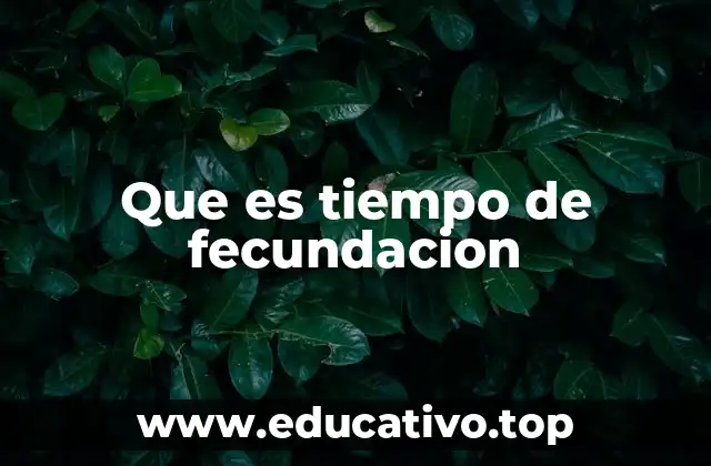 Que es tiempo de fecundacion
