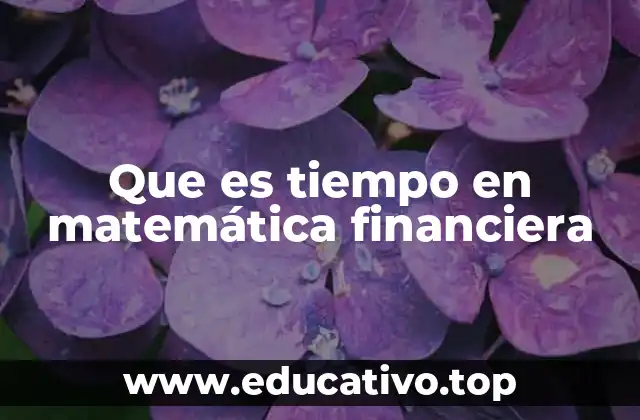 Que es tiempo en matemática financiera