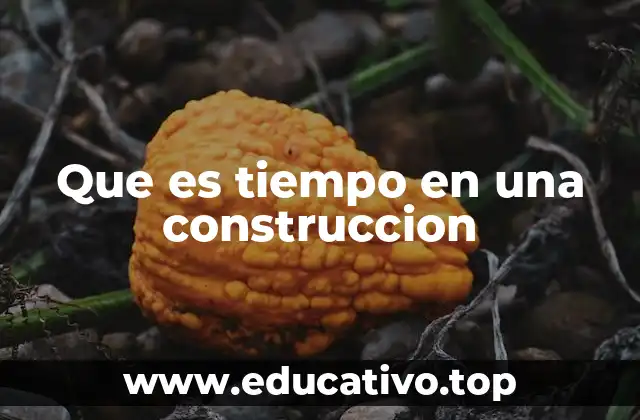 Que es tiempo en una construccion