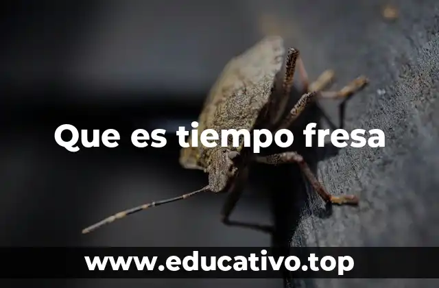 Que es tiempo fresa