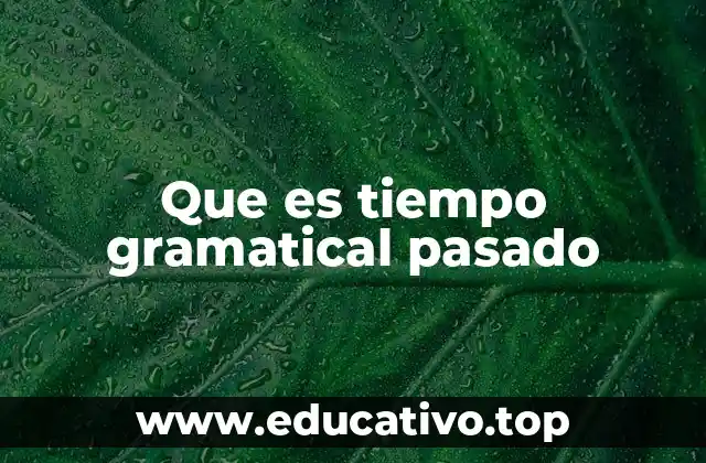 Que es tiempo gramatical pasado