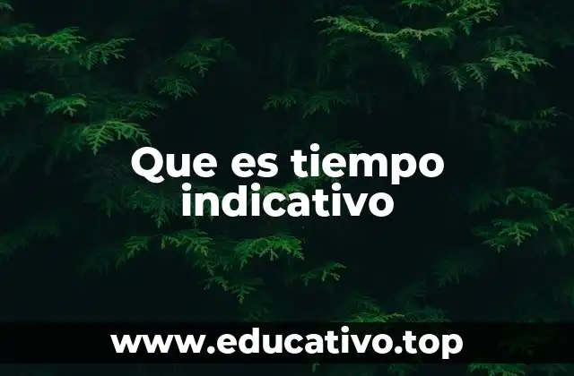 Que es tiempo indicativo