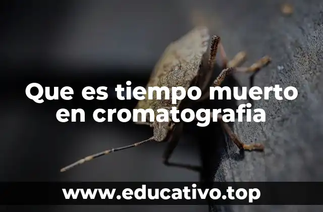 Cómo se relaciona el tiempo muerto con la fase móvil