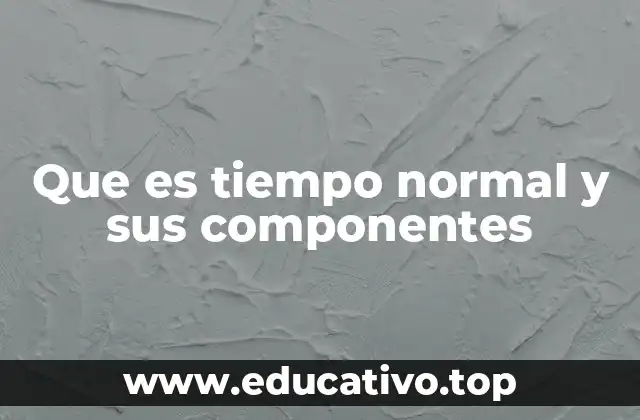 Que es tiempo normal y sus componentes