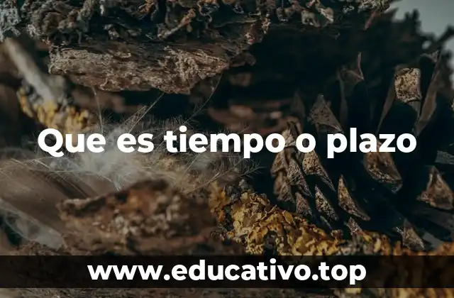 Que es tiempo o plazo