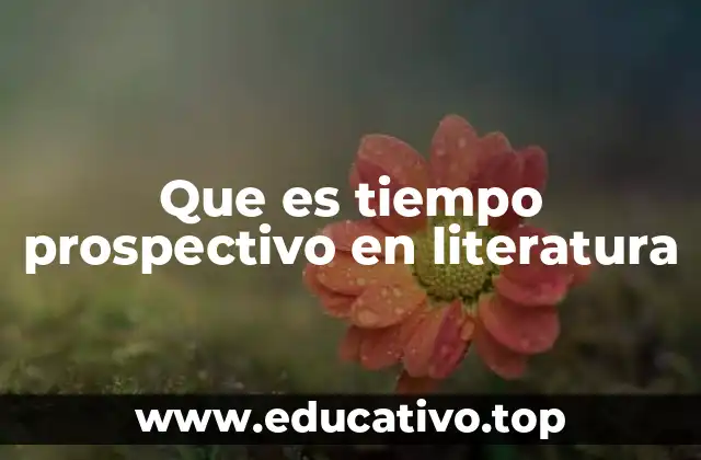 Que es tiempo prospectivo en literatura