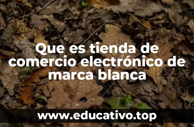 Que es tienda de comercio electrónico de marca blanca