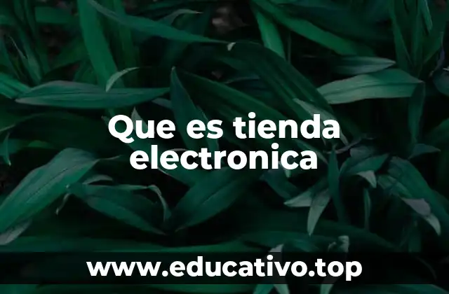 Que es tienda electronica