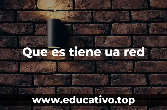 Que es tiene ua red