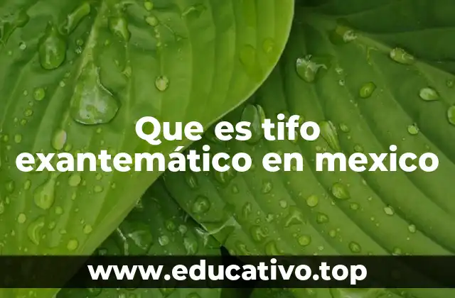 Que es tifo exantemático en mexico