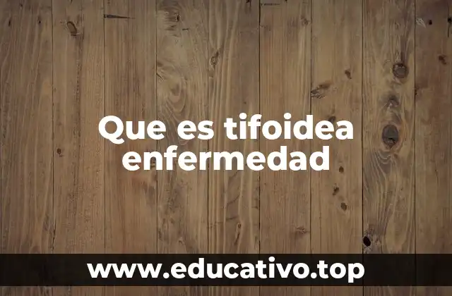 Causas y factores de riesgo de la enfermedad tifoidea