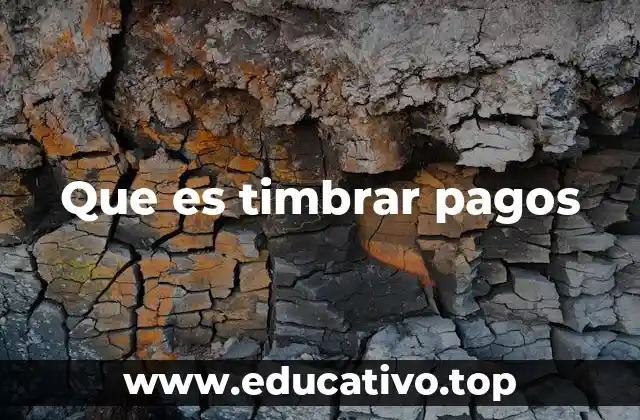 Que es timbrar pagos