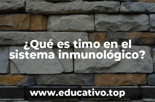 ¿Qué es timo en el sistema inmunológico?