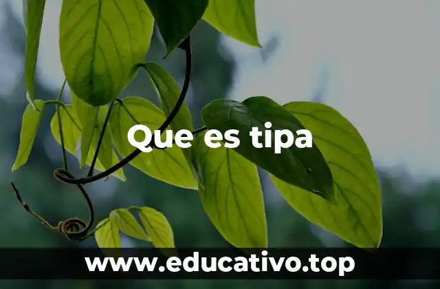 Que es tipa