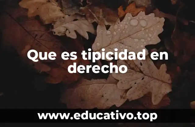 Que es tipicidad en derecho