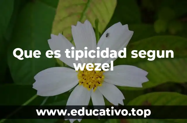 Que es tipicidad segun wezel