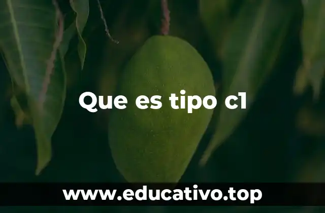 Que es tipo c1