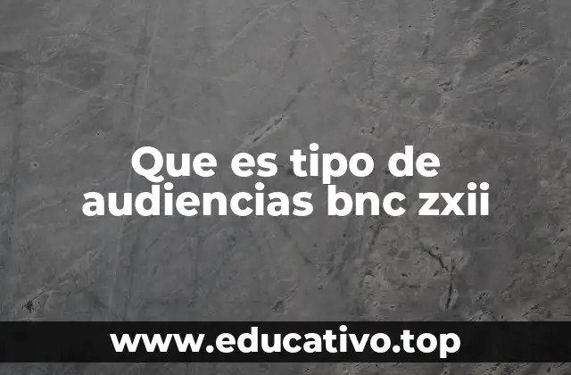 Que es tipo de audiencias bnc zxii
