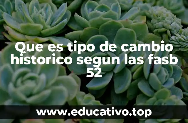 Que es tipo de cambio historico segun las fasb 52