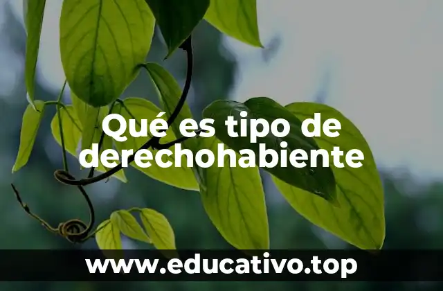 Qué es tipo de derechohabiente