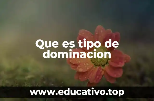 Que es tipo de dominacion