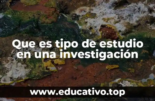 Que es tipo de estudio en una investigación