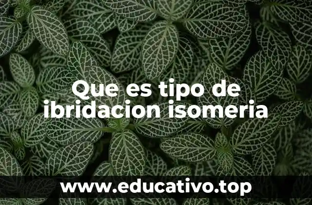Que es tipo de ibridacion isomeria