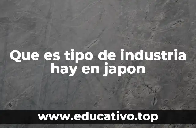 Que es tipo de industria hay en japon