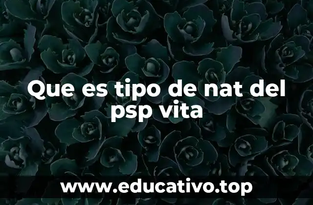 Que es tipo de nat del psp vita