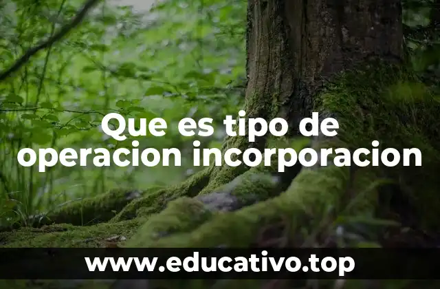 Que es tipo de operacion incorporacion