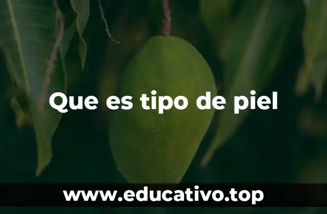 Que es tipo de piel