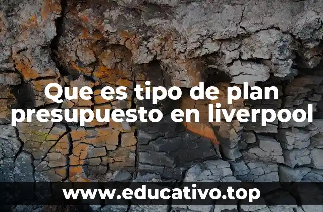 Que es tipo de plan presupuesto en liverpool