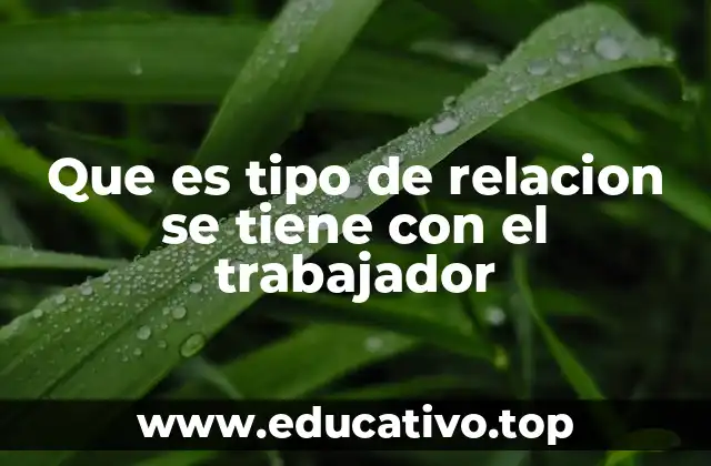 Que es tipo de relacion se tiene con el trabajador