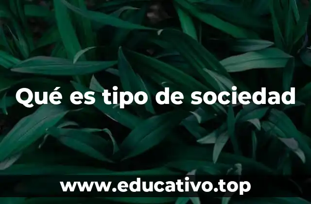 Tipos de sociedades en el ámbito empresarial