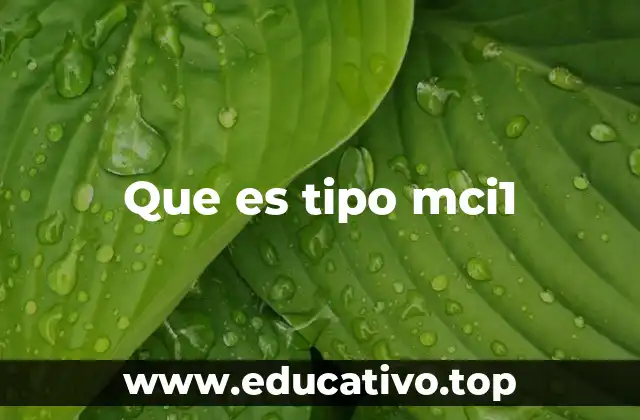 Que es tipo mci1