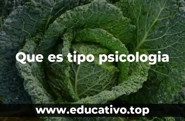 Que es tipo psicologia