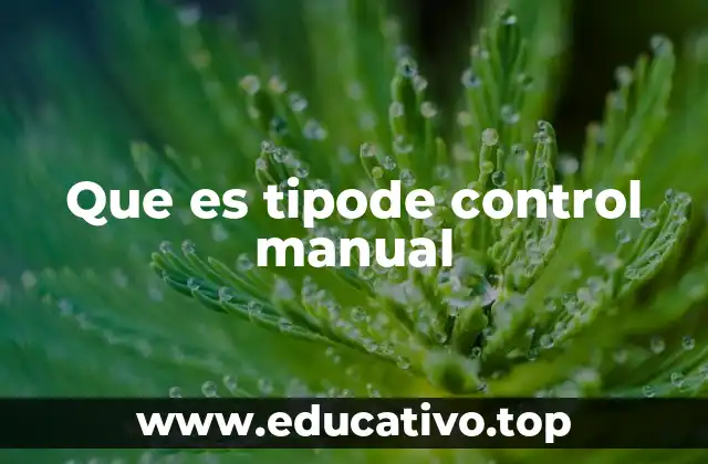 Que es tipode control manual