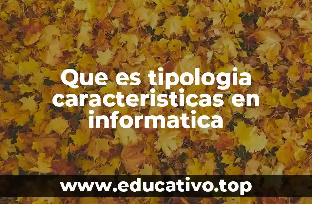 Que es tipologia caracteristicas en informatica