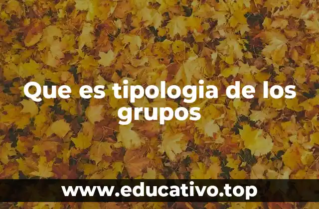 Que es tipologia de los grupos