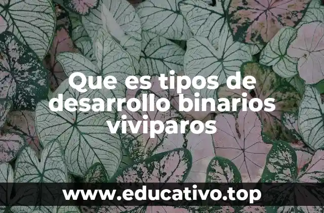 Que es tipos de desarrollo binarios viviparos