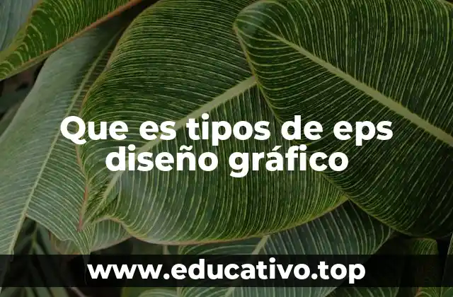 La importancia de elegir el tipo correcto de EPS