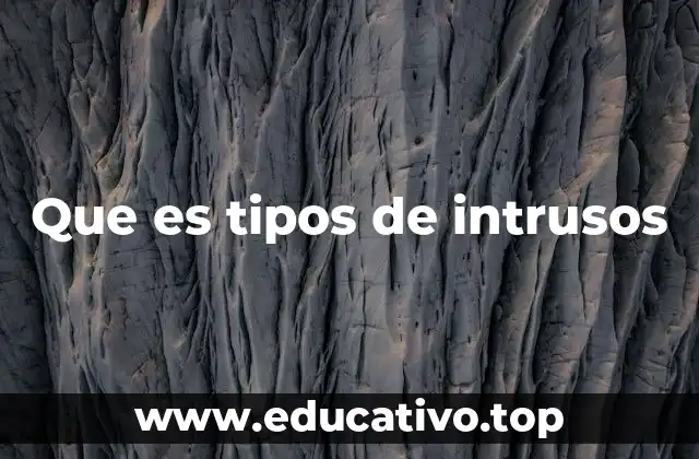 Que es tipos de intrusos