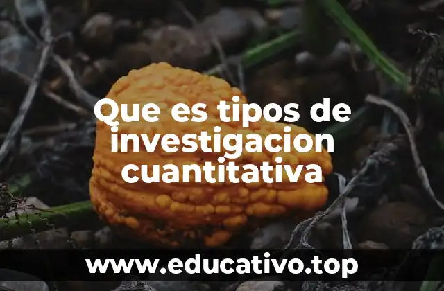 Que es tipos de investigacion cuantitativa