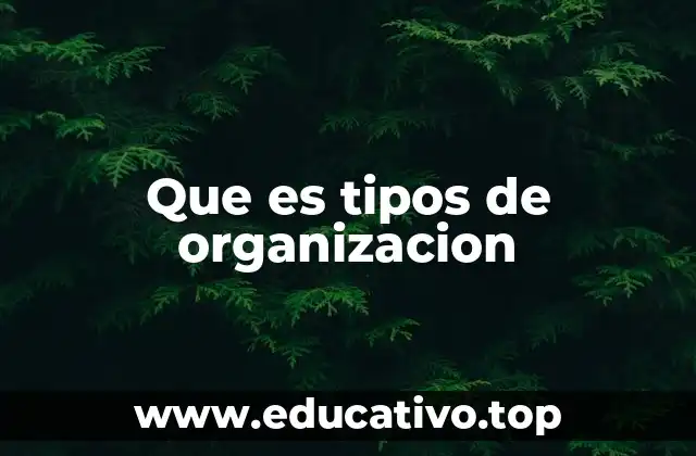 Que es tipos de organizacion