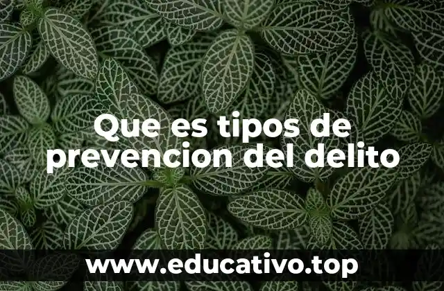 Que es tipos de prevencion del delito