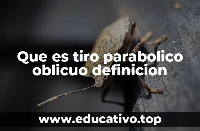 Que es tiro parabolico oblicuo definicion