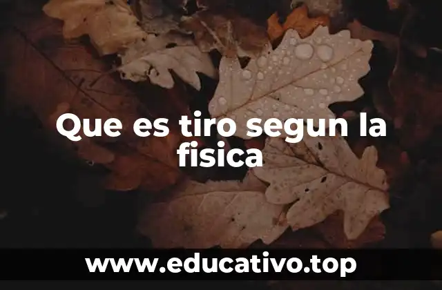 Que es tiro segun la fisica