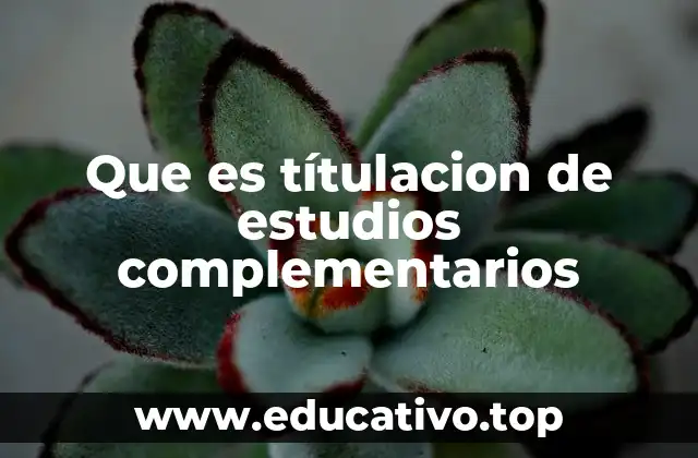 Que es títulacion de estudios complementarios