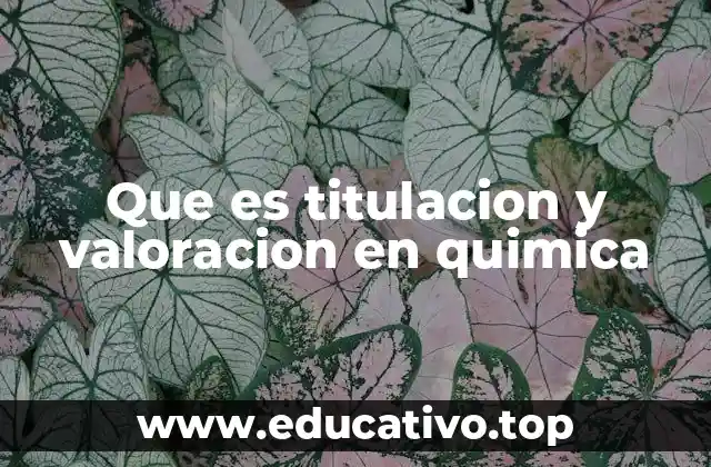 Que es titulacion y valoracion en quimica