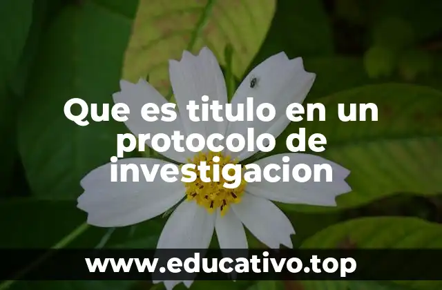 La importancia del título en la estructura de un protocolo